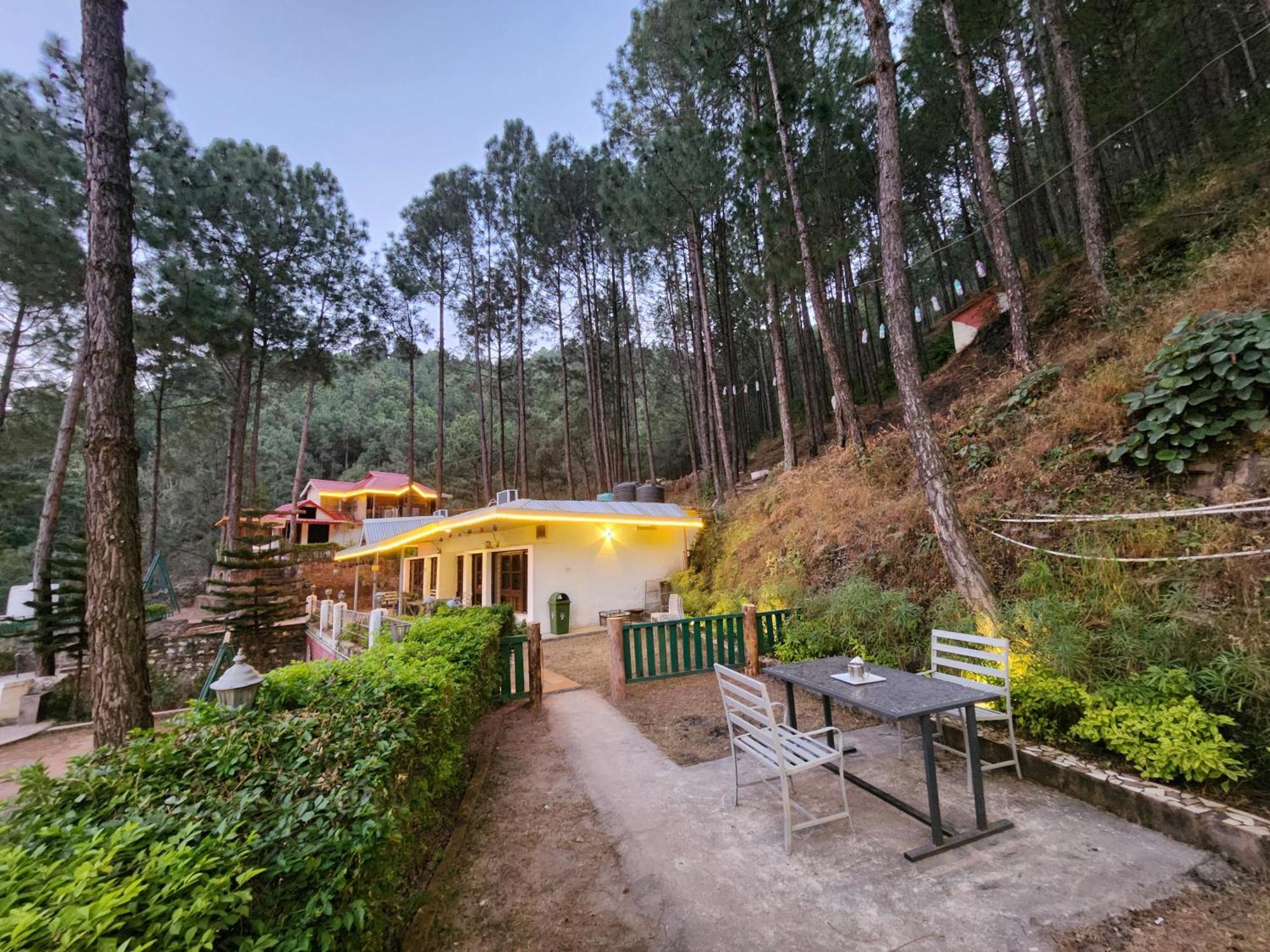 Pine Valley Resort กัสซอลี ภายนอก รูปภาพ
